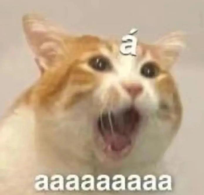 DƬ